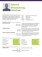 Mẫu CV xin việc bằng doc   133 springing