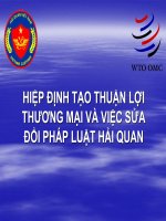 HIỆP ĐỊNH TẠO THUẬN LỢI THƢƠNG MẠI VÀ VIỆC SỬA ĐỔI PHÁP LUẬT HẢI QUAN