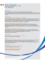 Mẫu CV xin việc bằng doc   52 corporate lines