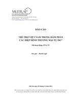 BÁO CÁO “HỖ TRỢ VIỆT NAM TRONG ĐÀM PHÁN CÁC HIỆP ĐỊNH THƯƠNG MẠI TỰ DO