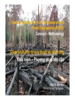 giảm phát thải từ suy thoái và mất rừng ,khái niệm-phương pháp tiếp cận
