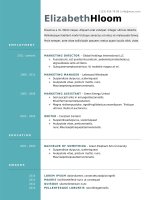 Mẫu CV xin việc bằng doc   224 blue side