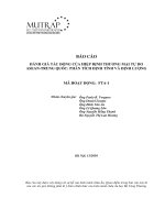 BÁO CÁO ĐÁNH GIÁ TÁC ĐỘNG CỦA HIỆP ĐỊNH THƯƠNG MẠI TỰ DO ASEAN-TRUNG QUỐC PHÂN TÍCH ĐỊNH TÍNH VÀ ĐỊNH LƯỢNG