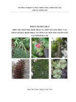 BÁO CÁO KẾT QUẢ ĐIỀU TRA PHÂN BỐ, SINH THÁI CỦA MỘT SỐ LOÀI THỰC VẬT THÂN GỖ QUÝ HIẾM PHỤC VỤ CÔNG TÁC BẢO TỒN NGUỒN GEN TẠI TỈNH ĐĂK LĂK