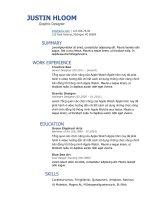 Mẫu CV xin việc bằng doc  254 splash of blue