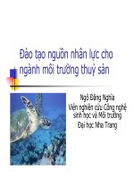 Đào tạo nguồn  nhân lực cho ngành môi trường thuỷ sản