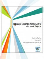 TỔNG QUAN VỀ CÁC HiỆP ĐỊNH THƢƠNG MẠI TỰ DO ĐÃ KÝ KẾT VÀ CÓ HiỆU LỰC