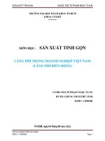 LÃNG PHÍ TRONG DOANH NGHIỆP VIỆT NAM (LÃNG PHÍ BIẾN ĐỘNG)