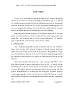 tiểu luận vật liệu nano trong công nghệ polymer