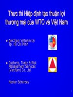 Thực thi Hiệp định tạo thuận lợi thương mại của WTO và Việt Nam
