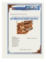 tiểu luận quy trình sản xuất  đồ hộp cá nục sốt cà