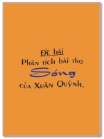 Phân tích hình ảnh thơ trong Sóng của Xuân Quỳnh