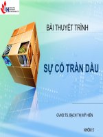 bài thuyết trình sự cố tràn dầu
