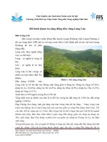 Mô hình Quản trị cộng đồng bền vững Lóng Lăn