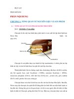 quy trình sản xuất BÁNH CHOCOPIE