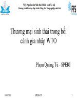 Thương mại sinh thái trong bối cảnh gia nhập WTO