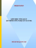 GIỚI THIỆU TỔNG QUÁTvà  QUI TRÌNH CÔNG NGHỆ SẢN XUẤT BIA