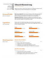 Mẫu CV xin việc bằng Doc  76 raise the bar