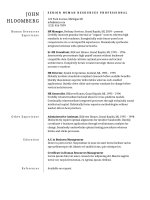 Mẫu CV xin việc bằng doc   31 plain divider