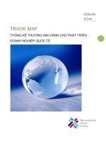 THỐNG KÊ THƯƠNG MẠI DÀNH CHO PHÁT TRIỂN DOANH NGHIỆP QUỐC TẾ