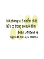 Mô phỏng sự ô nhiễm chất hữu cơ trong ao nuôi tôm