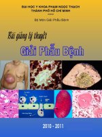 Bài giảng lý thuyết giải phẫu bệnh, Bộ  môn giải phẫu bệnh,  đại học y khoa Phạm Ngọc Thạch TPHCM