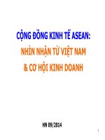 CỘNG ĐỒNG KINH TẾ ASEAN  NHÌN NHẬN TỪ VIỆT NAM & CƠ HỘI KINH DOANH
