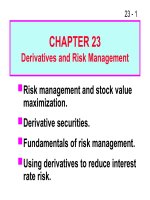 FM11 Ch 23 Derivatives and Risk Management