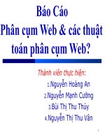 Phân cụm Web và các thuật toán phân cụm Web