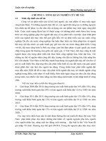 Giải pháp hạn chế ảnh hưởng của thay đổi thuế quan và tiêu chuẩn chất lượng hàng nhập đối với nhập khẩu nguyên liệu của Tổng công ty  May 10.DOC