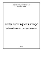 Giáo trình miễn dịch bệnh lý học, đại học huế