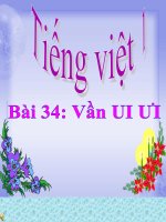 Bài giảng Tiếng Việt 1 bài 34 Vần UI Ưi