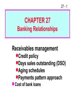 FM11 Ch 27 Banking Relationships