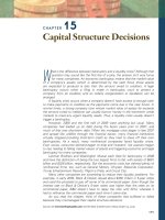 15.Capital Structure