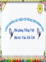 Bài giảng Tiếng Việt 1 bài 61 Vần ĂM ÂM