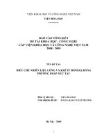 ĐIỀU CHẾ NHIÊN LIỆU LỎNG và KHÍ từ rơm rạ BẰNG PHƯƠNG PHÁP xúc tác