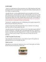 BÁO CÁO CẢM QUAN NAYONAISE