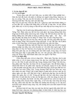 skkn Một số biện pháp nhằm nâng cao hiệu quả dạy tập làm văn lớp 2B, Trường Tiểu học Hương Sơn C