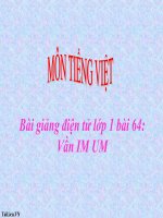 Bài giảng Tiếng Việt 1 bài 64 Vần IM UM