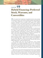 19.Hybrid Financing