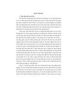 Đề tài hoàn thiện kênh phân phối của vietfoods (sản phẩm thạch rau câu)