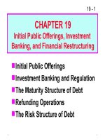 FM11 Ch 19 Initial Public Offerings, Investment Banking, and Financial Restructuring