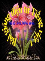 Bài giảng Tiếng Việt 1 bài 14 Âm D, Đ