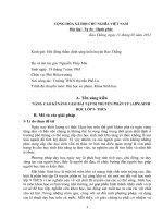 Báo cáo sáng kiến Nâng cao kỹ năng giải bài tập di truyền phân tử (ADN) sinh học lớp 9