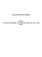 SKKN Trò chơi Toán học lớp 1
