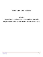 SKKN Một số biện pháp quản lý nhằm nâng cao chất lượng đội ngũ giáo viên trong trường mẫu giáo