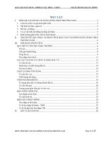 PHÂN TÍCH BÁO CÁO TÀI CHÍNH NGÂN HÀNG TMCP PHƯƠNG NAM GIAI ĐOẠN 2008 - 2012