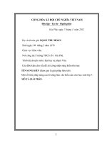 Báo cáo sáng kiến Một số biện pháp nâng cao kĩ năng làm văn biểu cảm cho học sinh lớp 7