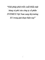 Giải pháp phát triển xuất khẩu mặt hàng cà phê của công ty cổ phần INTIMEX Việt Nam sang thị trường EU trong giai đoạn hiện nay