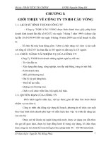 phân tích tài chính công ty TNHH Cầu Vồng